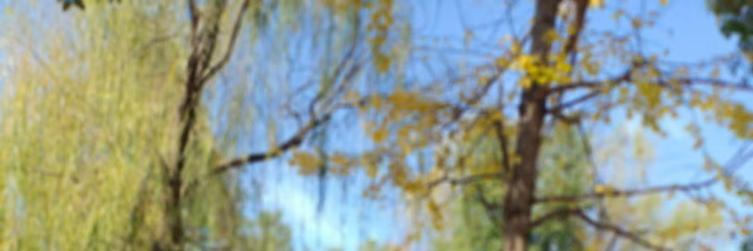 ZQL1575386's profile banner image