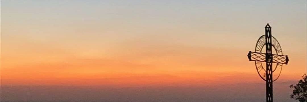 🌸 banner