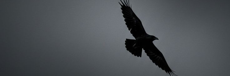 RHashm1691's profile banner image
