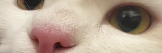UnderDogXmm's profile banner image