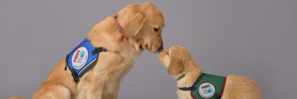 Pawswithacause Profile Banner