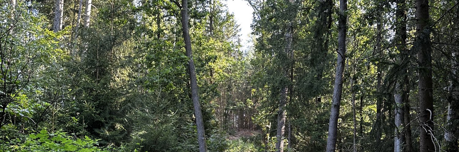 Philip Morgner banner