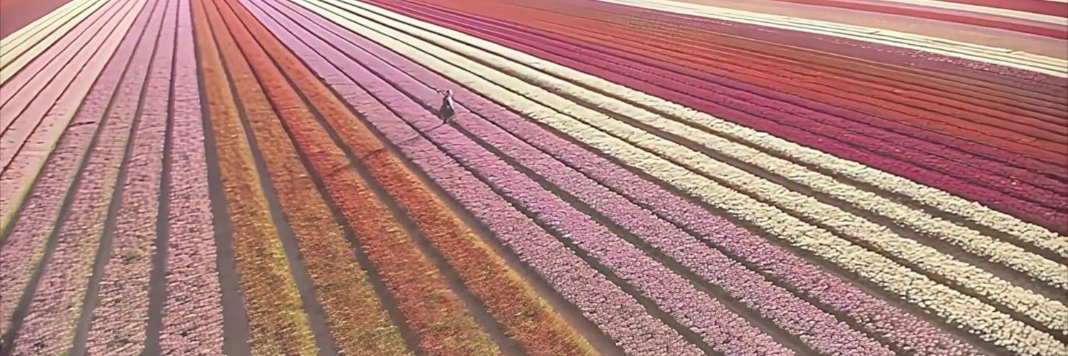 randomandpink's profile banner image