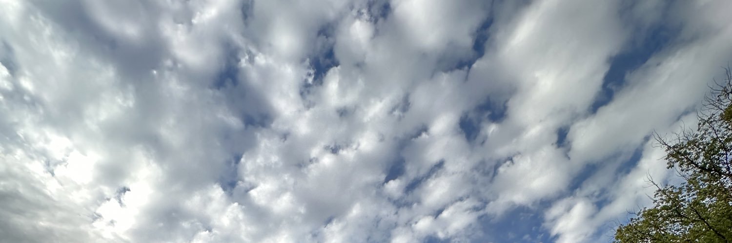 Camigolden's profile banner image