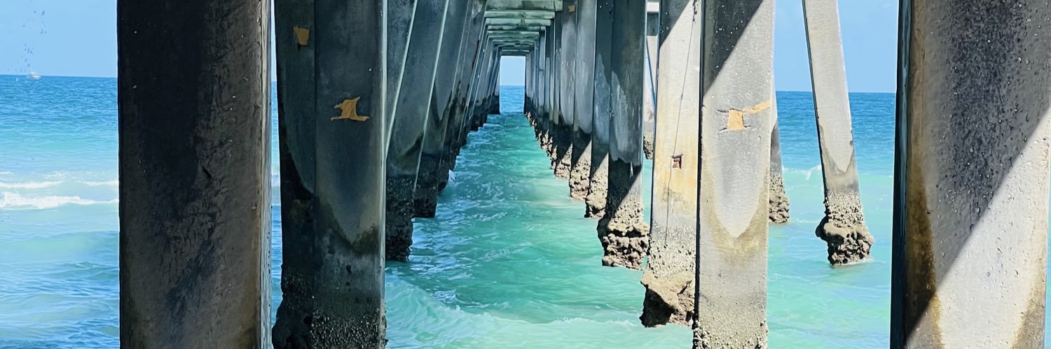 RockiRox 🌴🇺🇸 banner