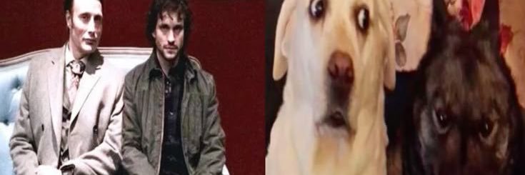 зевіс ₍^. .^₎Ⳋ's banner