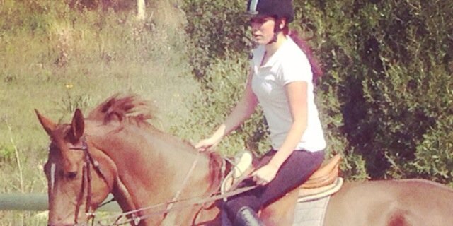 Elena_P_D's profile banner image