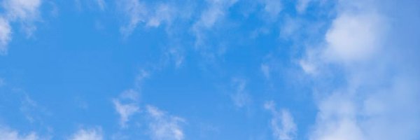 ihatehoneyb Profile Banner