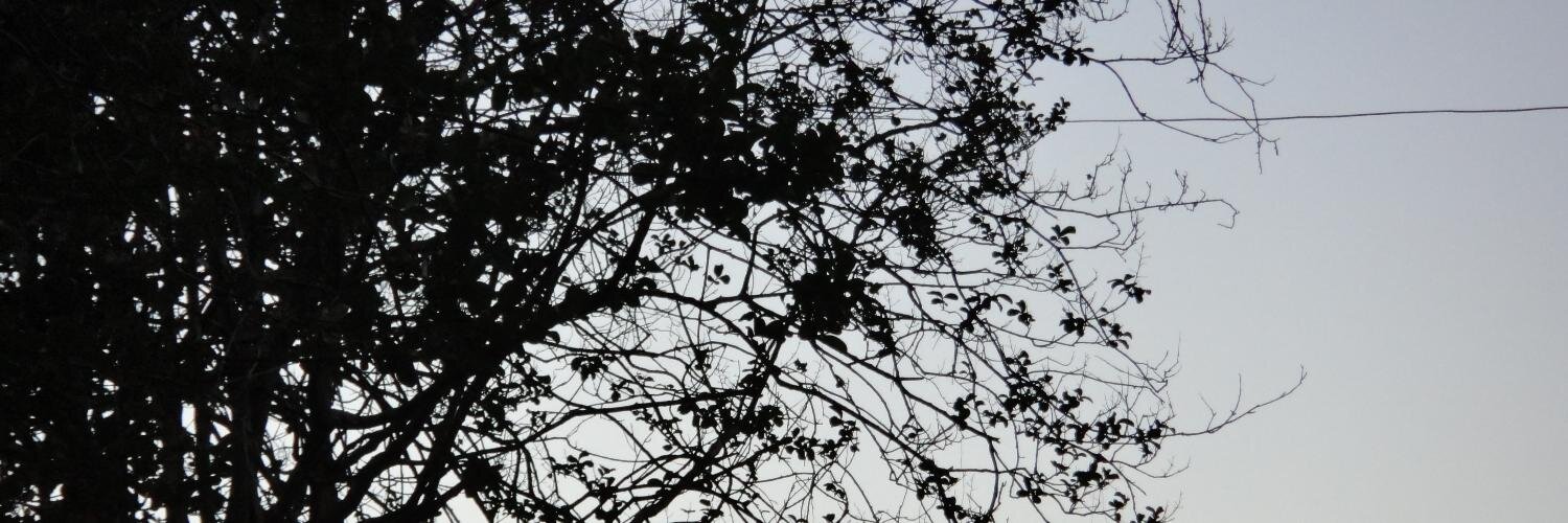 bdias_'s profile banner image