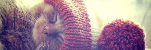Yonalisr's profile banner image