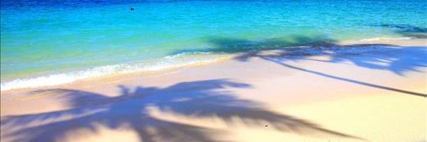Hawn_1's profile banner image