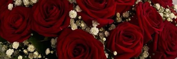 Ellalouivia's profile banner image
