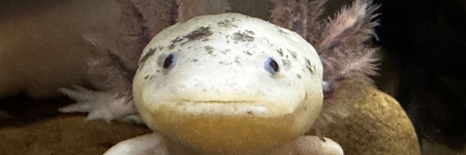 mrwright79's profile banner image