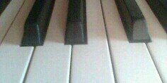 bluenotesus1's profile banner image