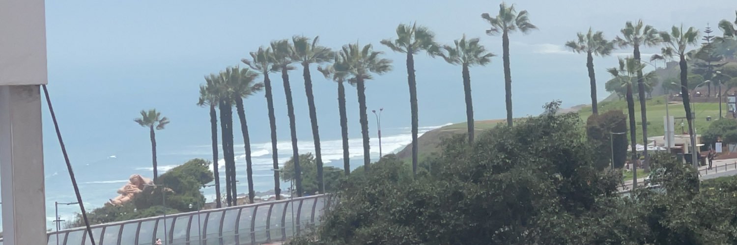 Alonso Llerena banner