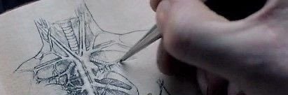 "ᴄʀʏʙᴀʙʏ" 𝘾𝙮𝙣 banner