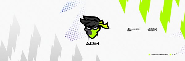 ACE1 Profile Banner