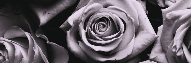 LoostBlood's profile banner image