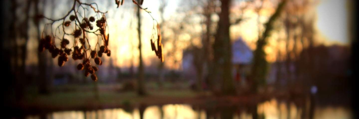 FireFly Deluxe Version 💕 banner