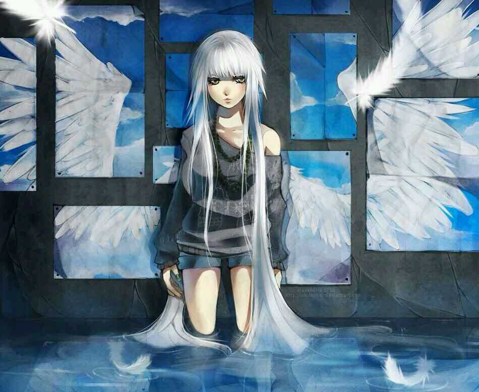 SaveSkyes's profile banner image