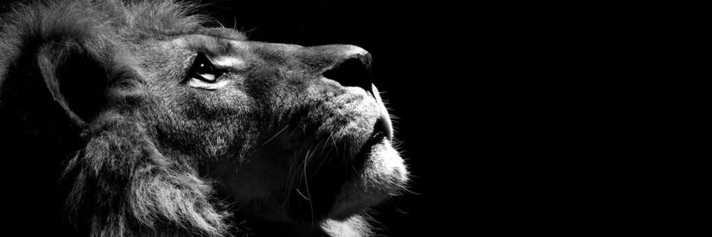 spenmp's profile banner image