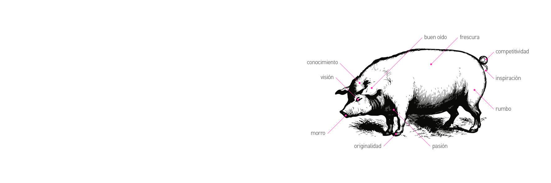 pigxoo's profile banner image