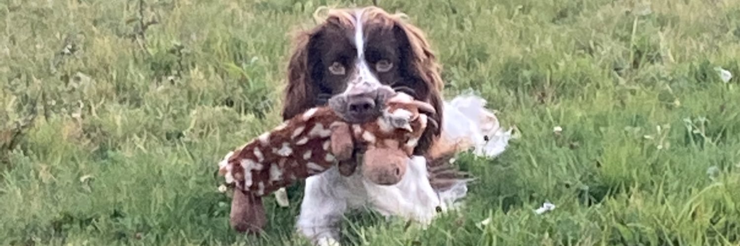 candeejaye's profile banner image