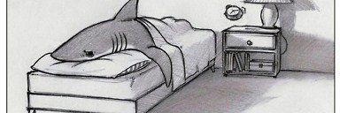 calaca de Venezuela banner