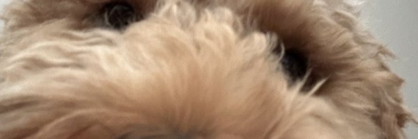 lorrian_ Profile Banner
