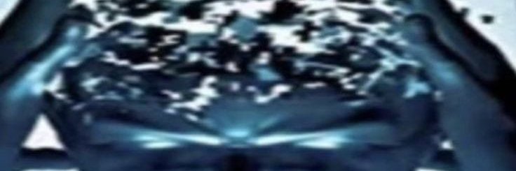 Linda Orquídea banner