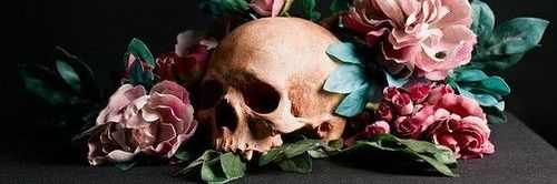 ~ Fae ~ banner