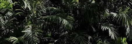 pointpoint_010's profile banner image