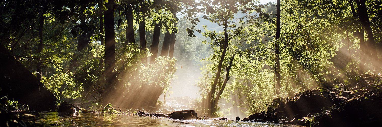 onEarth Magazine banner