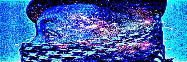 KCarterAmazing Profile Banner