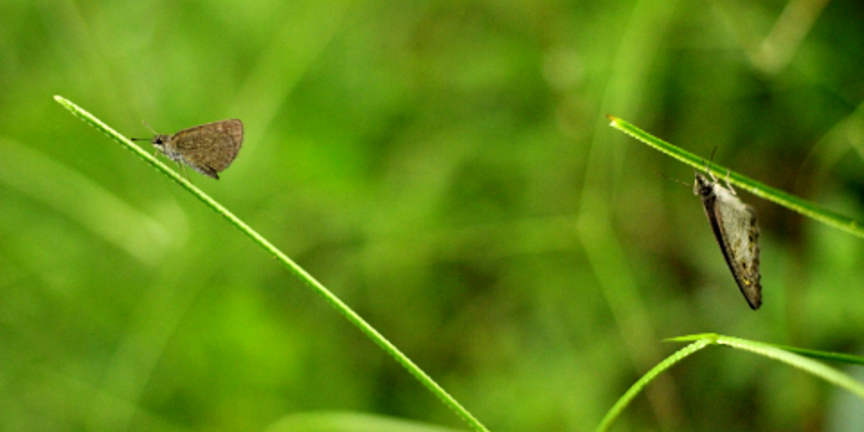 KriSudhakaran's profile banner image