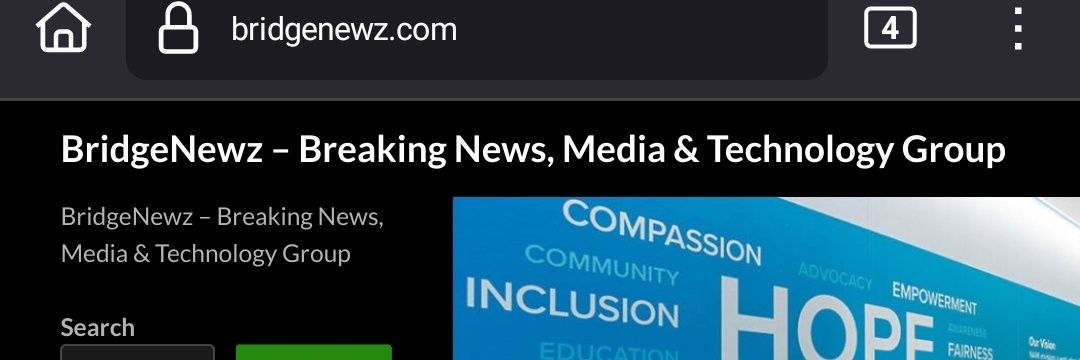BridgeNewzCom's profile banner image