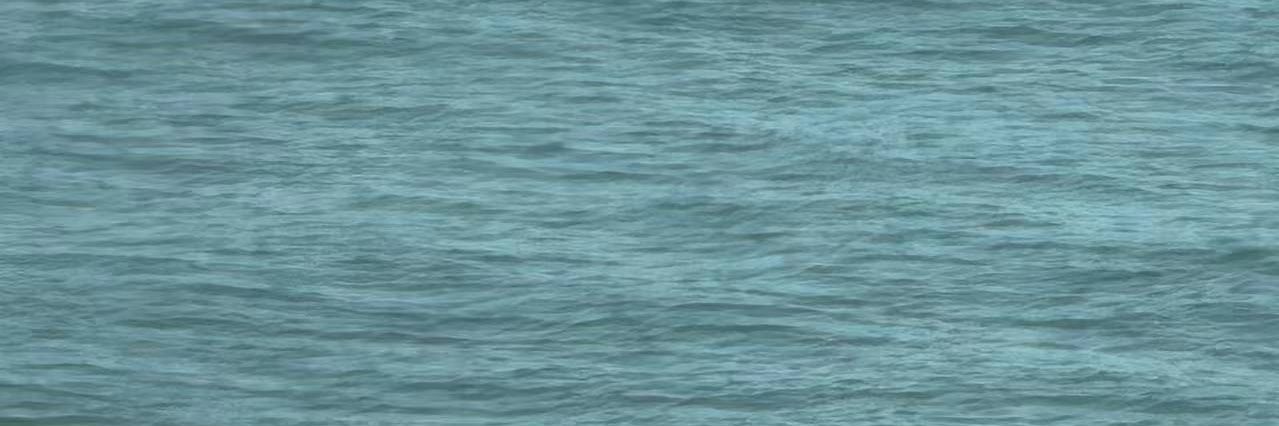 BeiLi96836's profile banner image