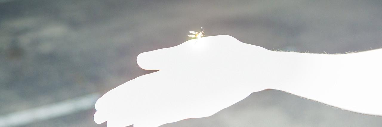 yatrtiah's profile banner image
