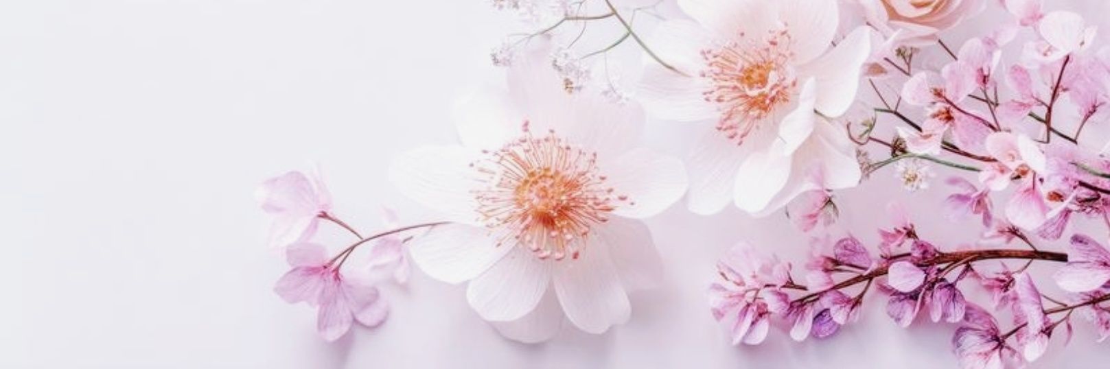 𝕃𝕦𝕔𝕒🪷-message- banner