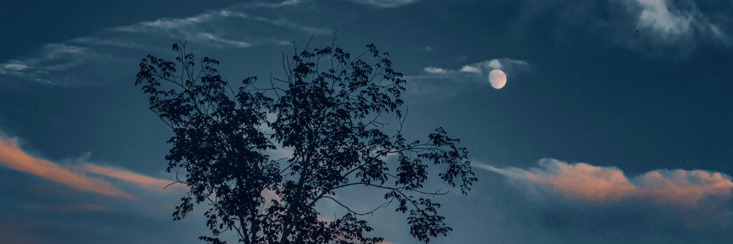 KristieKohn's profile banner image