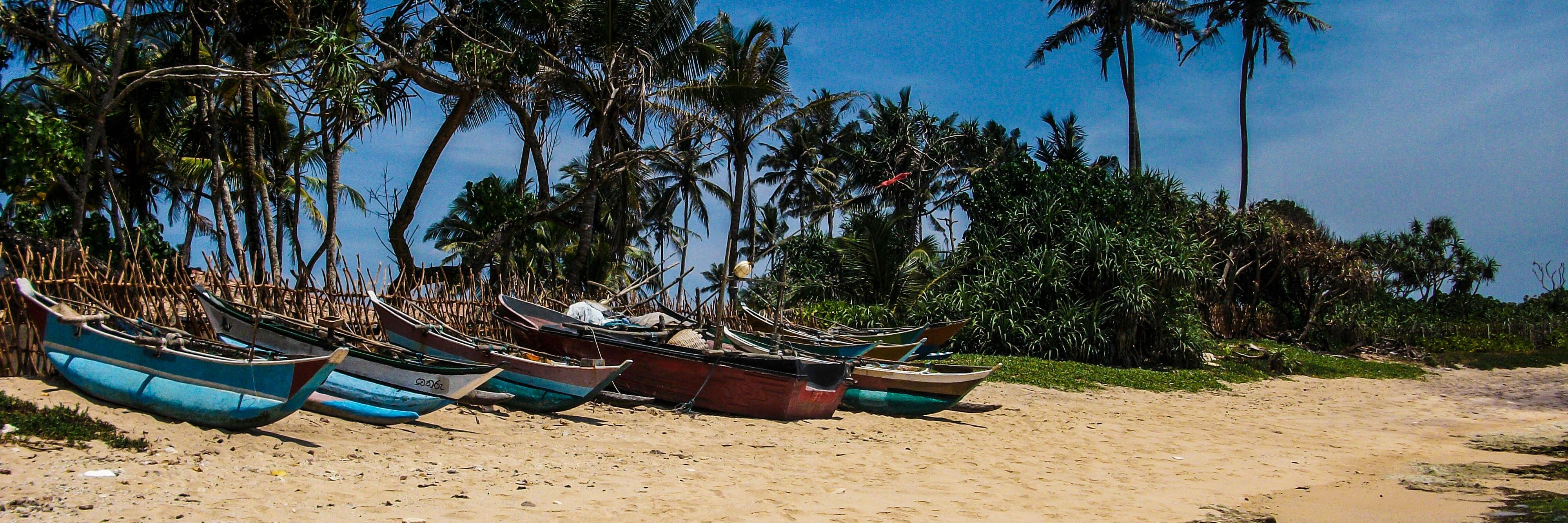 @MarkKelson.bsky.social banner