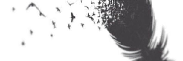 Ismaeel_mg's profile banner image