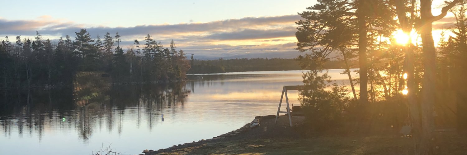 annieugs's profile banner image