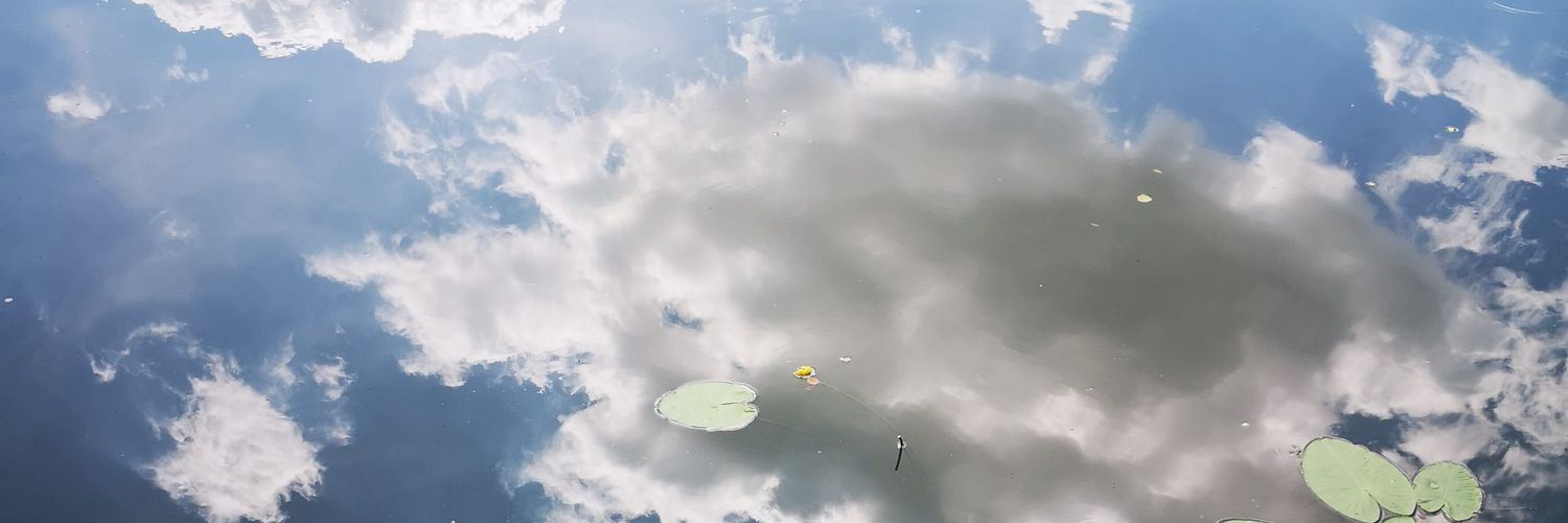 Sarabjit Singh banner