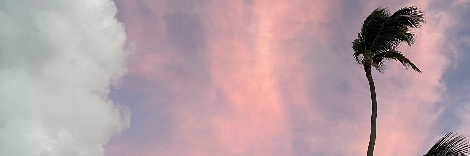 carri_96's profile banner image