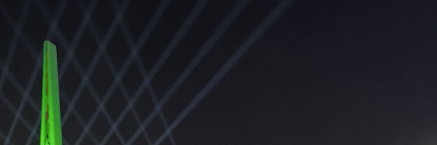 Sally Drmosh's banner
