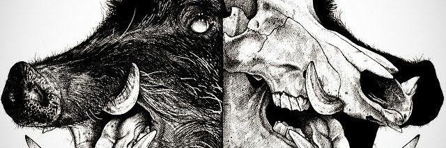 PaulinDan's profile banner image