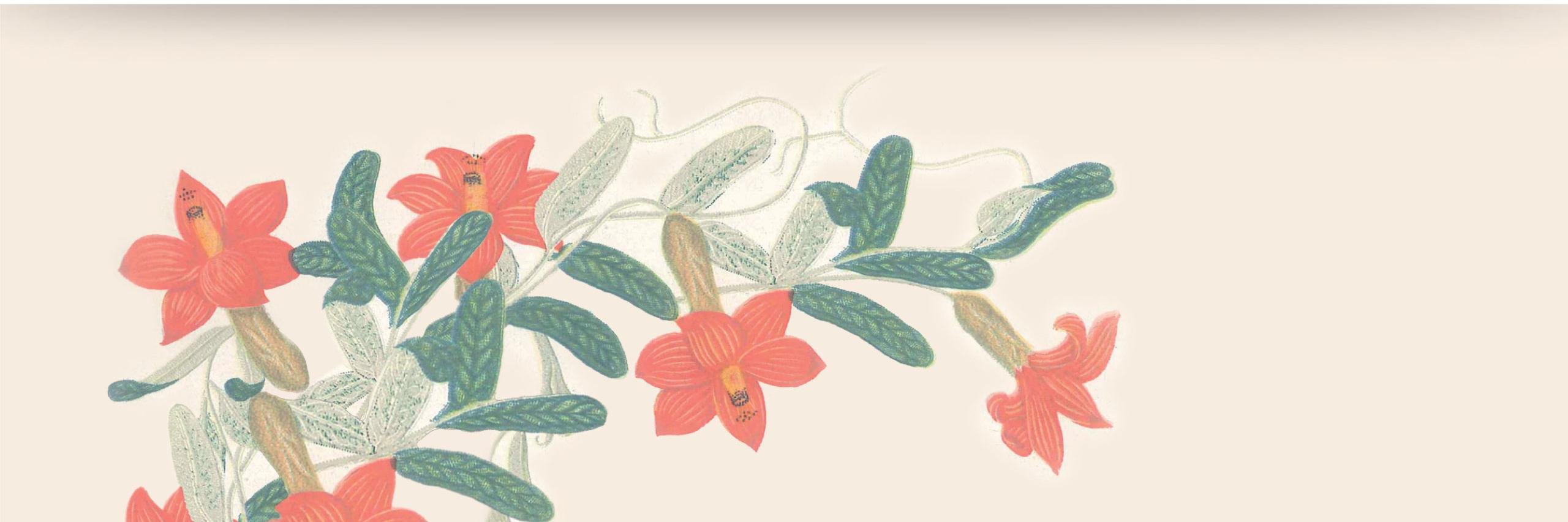 acadcienciacol's profile banner image