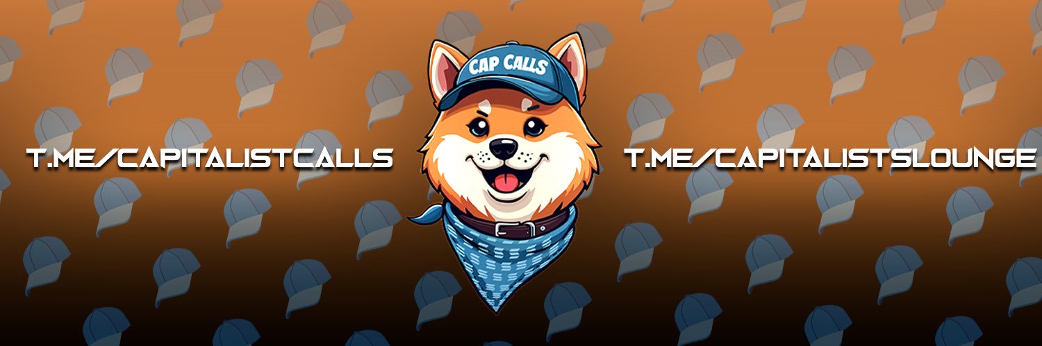 CAPITALIST (printing arc) 🧢's banner