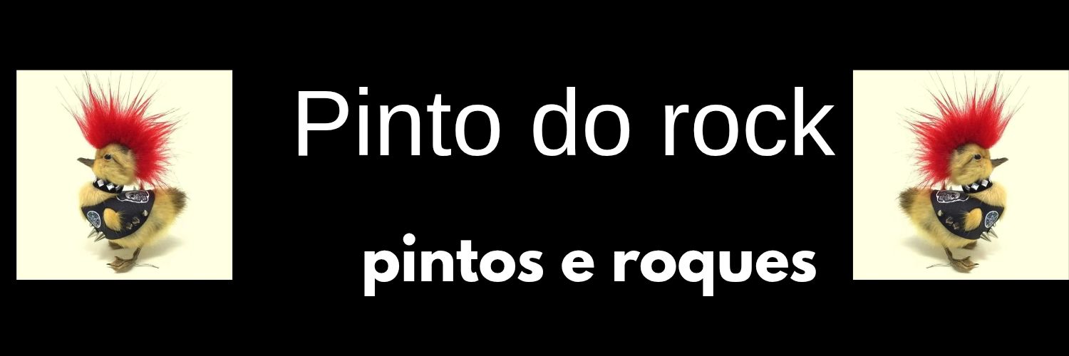 pinto do rock banner